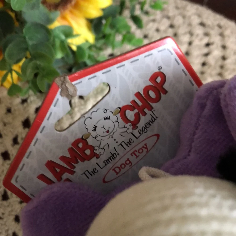 lamb chop brand new